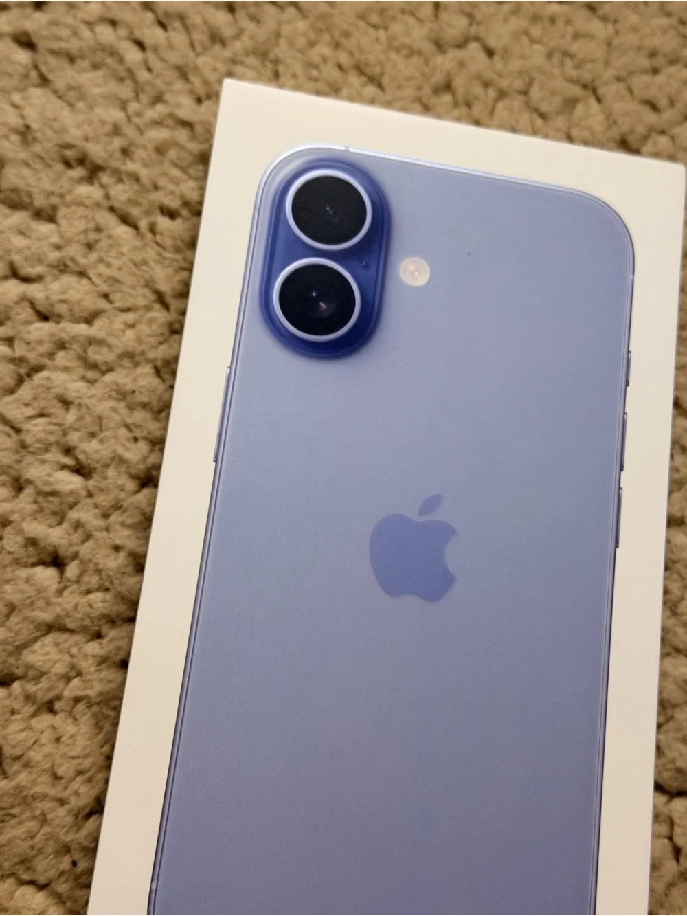 ✨New Sealed Apple iPhone 17 Mist Blue Verizon✨